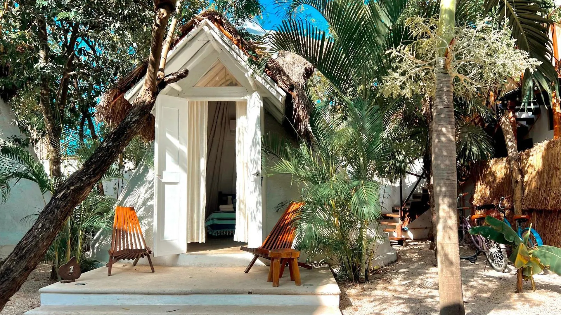 Albergue Mimosa Tulum