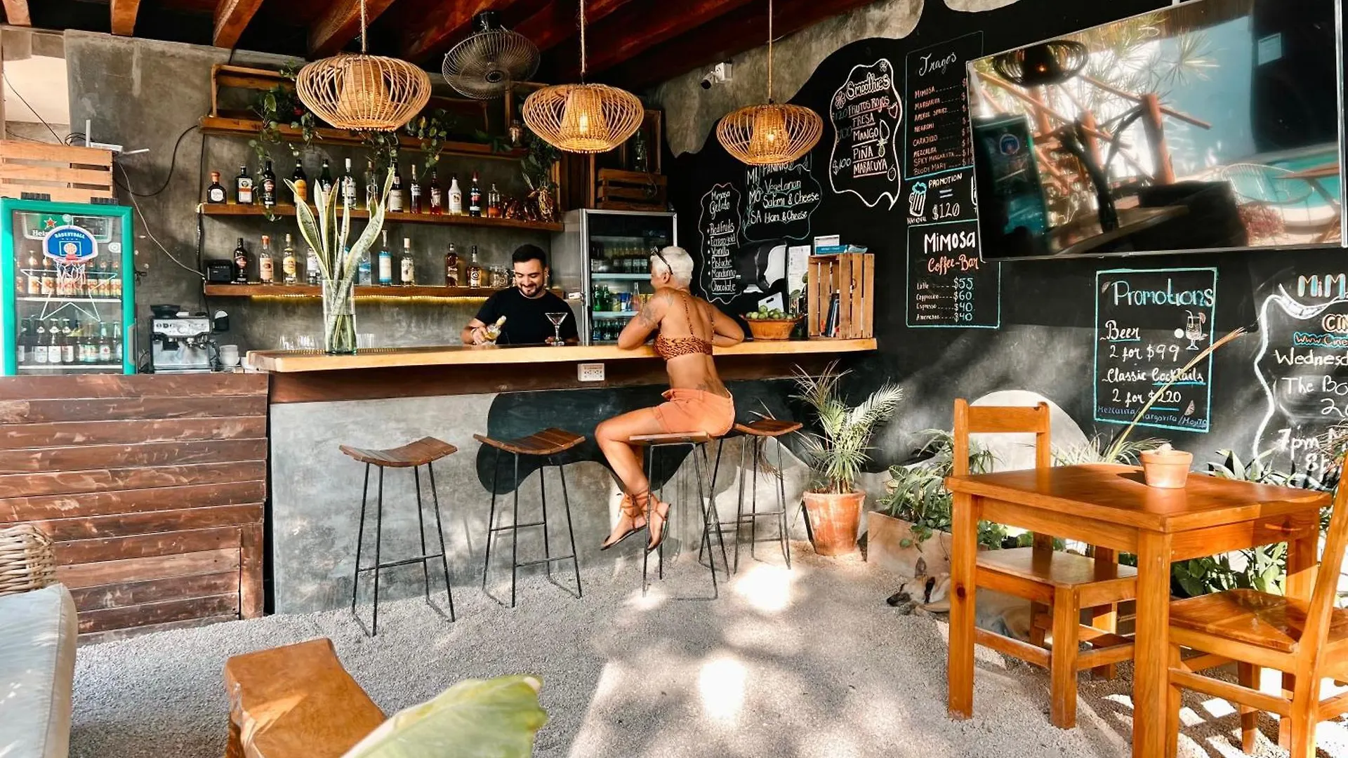 Mimosa Tulum 호스텔