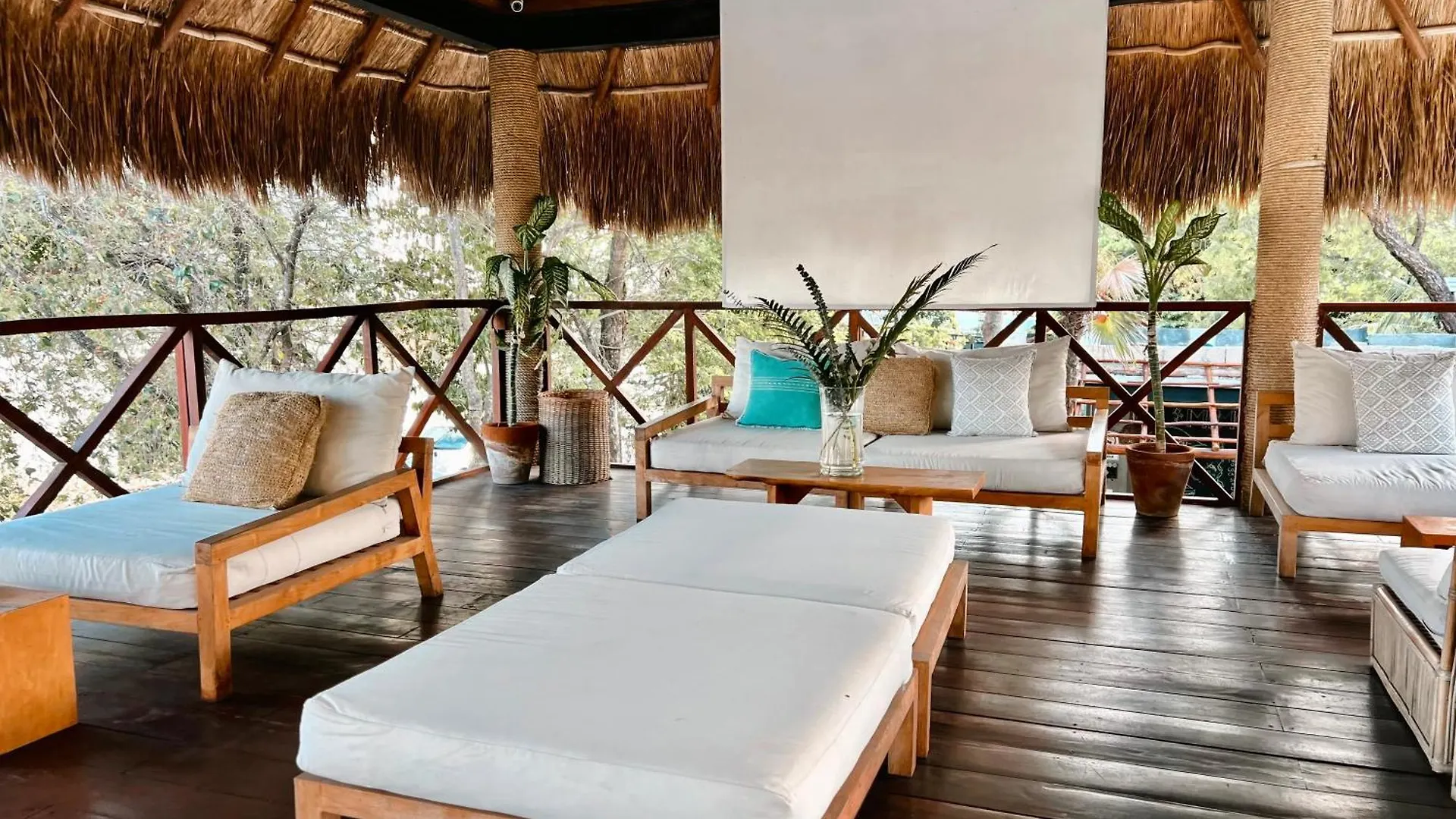 Mimosa Tulum 호스텔